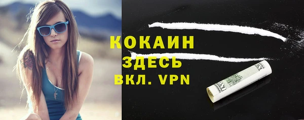 твердый Аркадак
