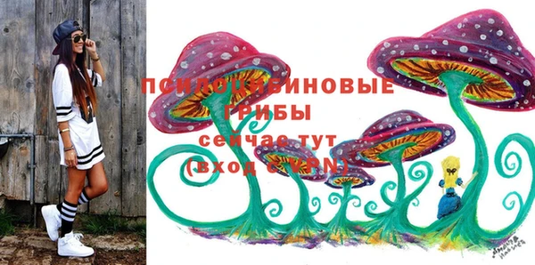 PSILOCYBIN Арсеньев