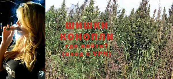 PSILOCYBIN Арсеньев