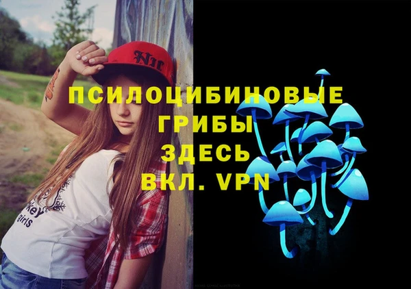 твердый Аркадак