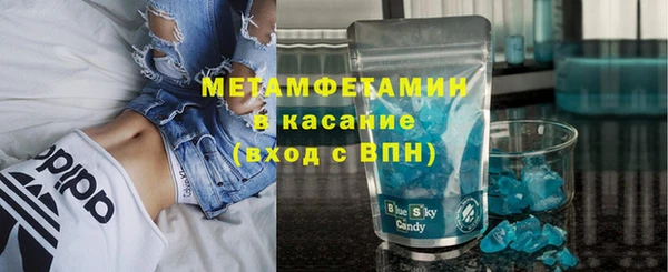 твердый Аркадак