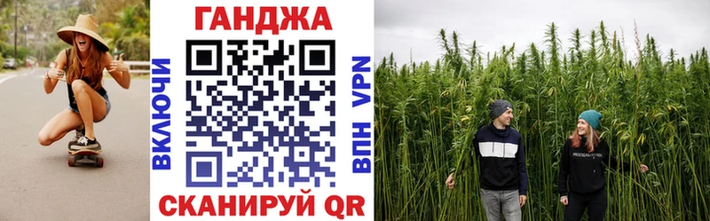 Каннабис план  Теберда 